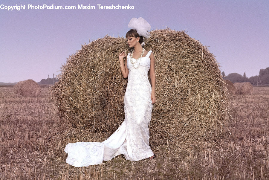 Evening Dress, Gown, Female, Person, Clothing, Dress, Field