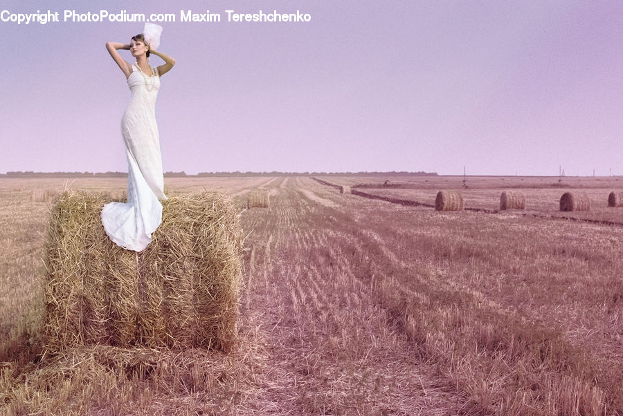 People, Person, Human, Field, Grain, Grass, Plant