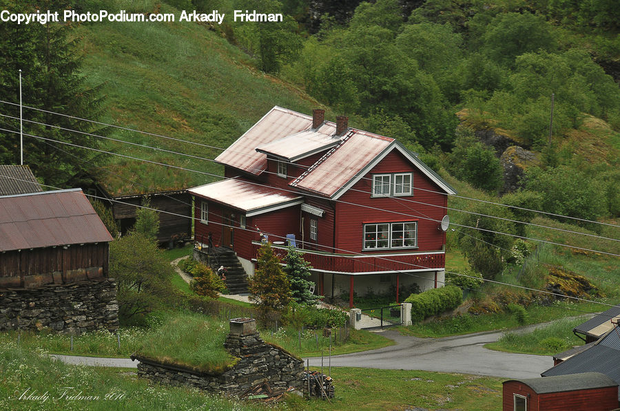Building, Cottage, Housing, Conifer, Plant, Tree, Wood