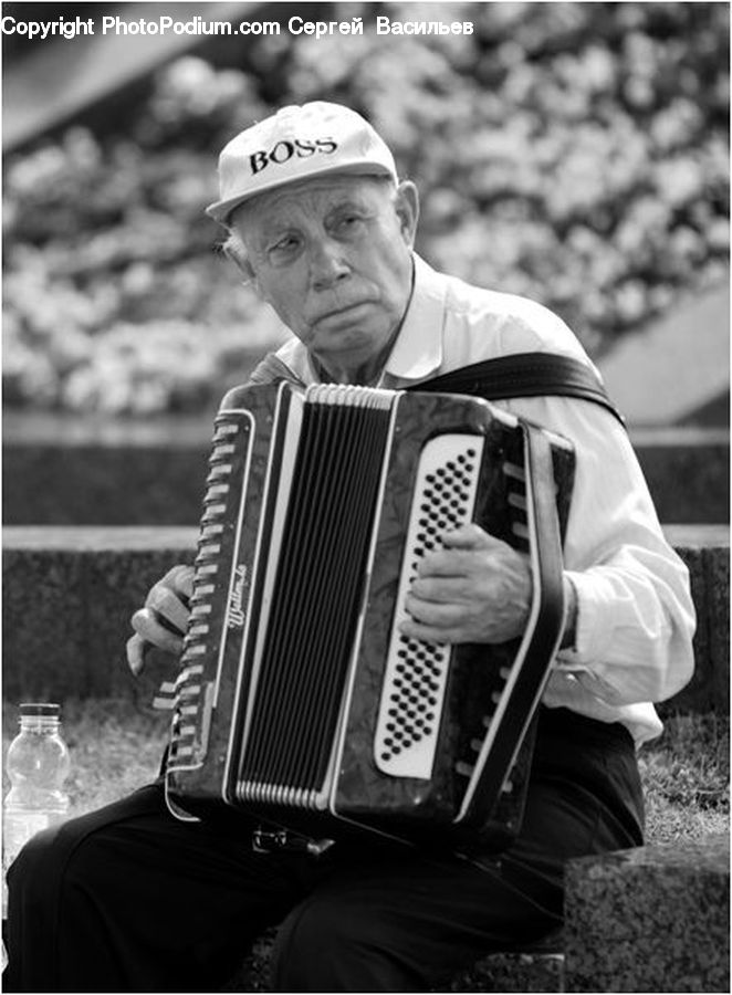 Human, People, Person, Accordion, Musical Instrument, Console