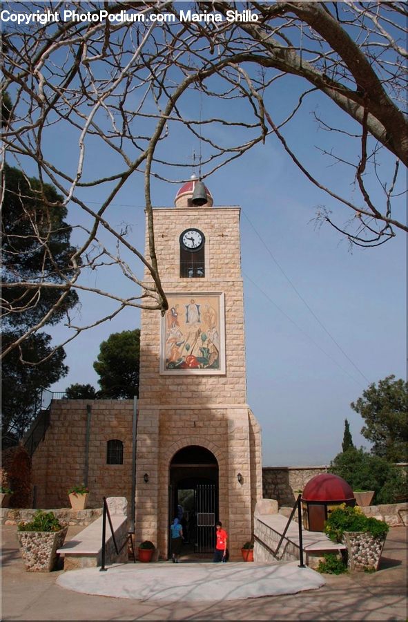 Architecture, Bell Tower, Clock Tower, Tower, Plant, Potted Plant, Dome