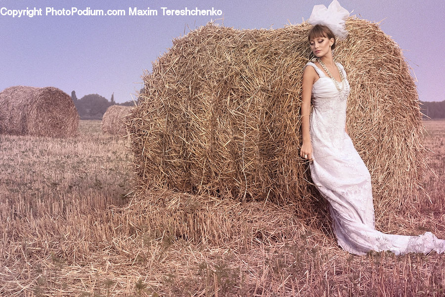 Countryside, Hay, Straw, Field, Grass, Grassland, Plant