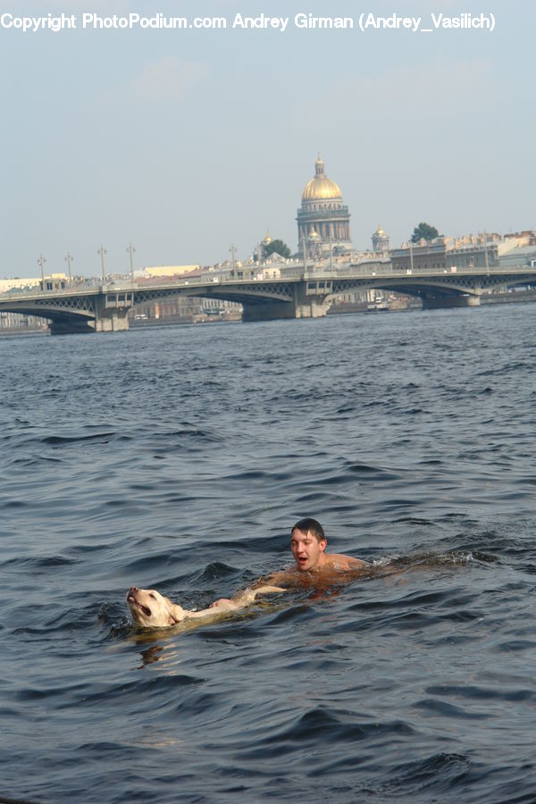 Architecture, Dome, Sport, Swimming, Water, Bridge, Animal