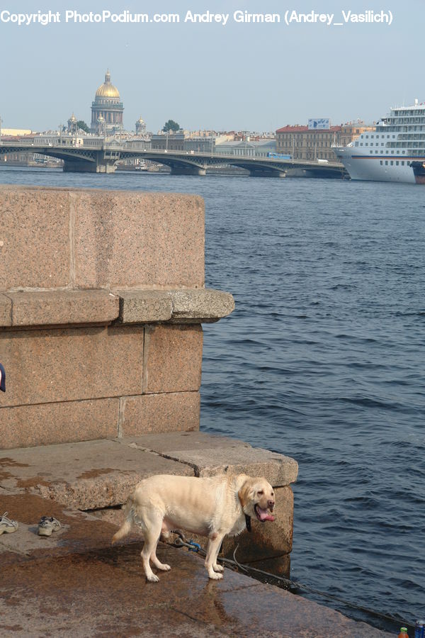 Ship, Vessel, Castle, Fort, Animal, Canine, Dog