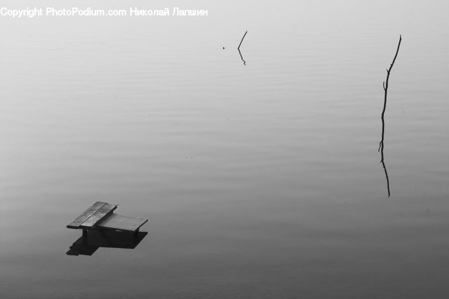 Flying, Outdoors, Sea, Water, Fog, Silhouette, Ocean