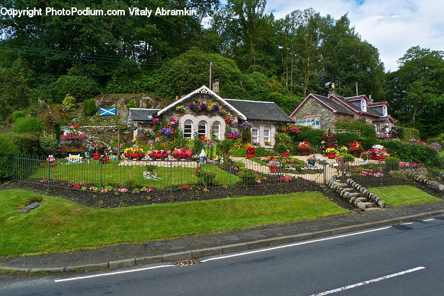 Building, Cottage, Housing, Garden, Backyard, Yard, Blossom
