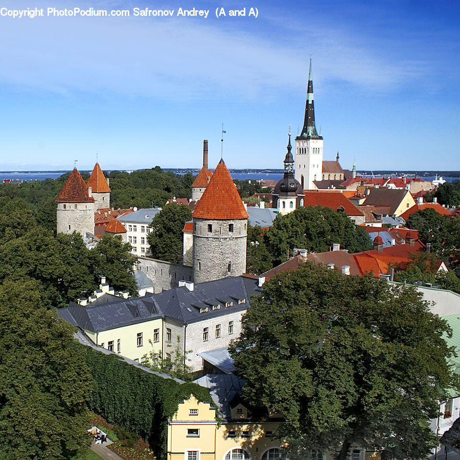 Architecture, Castle, Fort, Bell Tower, Clock Tower, Tower, Bush