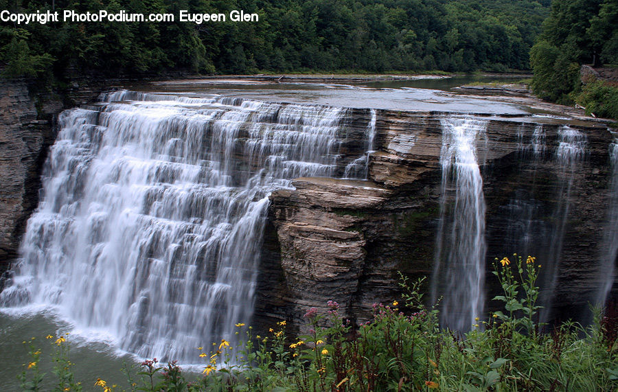 Outdoors, River, Water, Waterfall, Plant, Bush, Vegetation