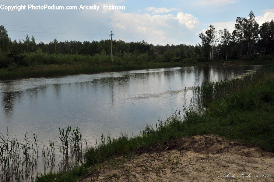 Land, Marsh, Outdoors, Swamp, Water, Pond, Grass