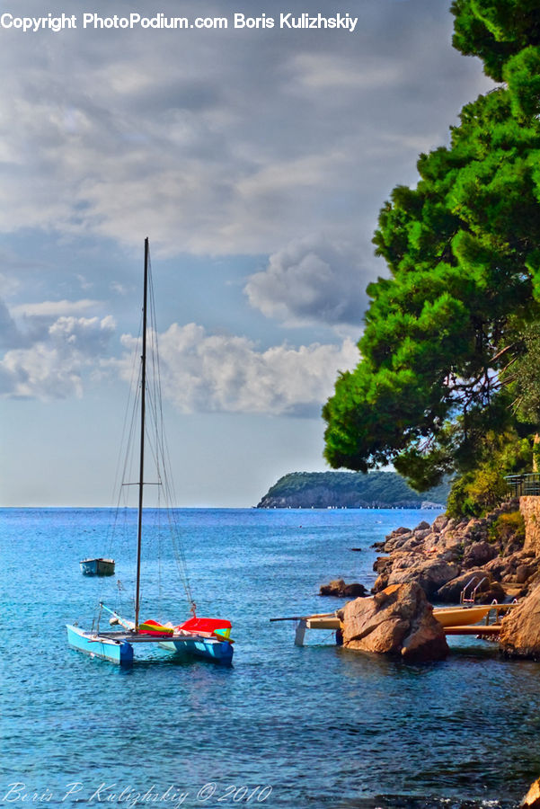 Boat, Yacht, Dinghy, Sailboat, Vessel, Watercraft, Plant