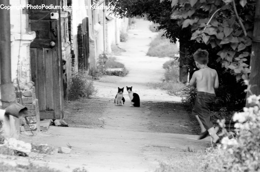 People, Person, Human, Alley, Alleyway, Road, Street