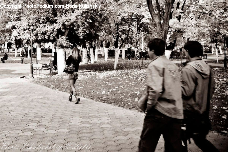 People, Person, Human, Back, Leisure Activities, Walking, Boardwalk