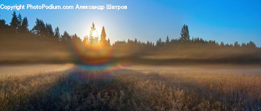 Dawn, Dusk, Sky, Sunrise, Sunset, Field, Grass