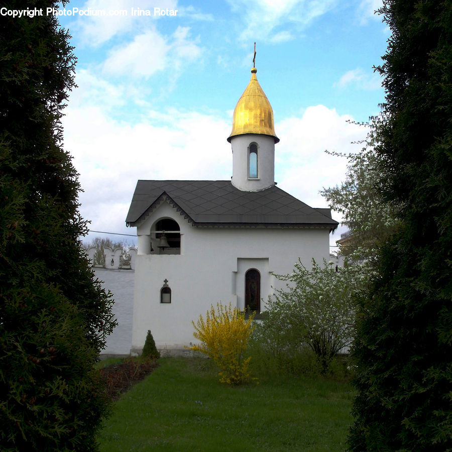 Architecture, Bell Tower, Clock Tower, Tower, Conifer, Fir, Plant