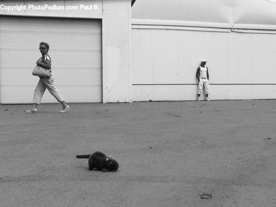 People, Person, Human, Football, Sport, Female, Girl