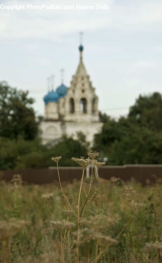 Architecture, Bell Tower, Clock Tower, Tower, Church, Worship, Cathedral