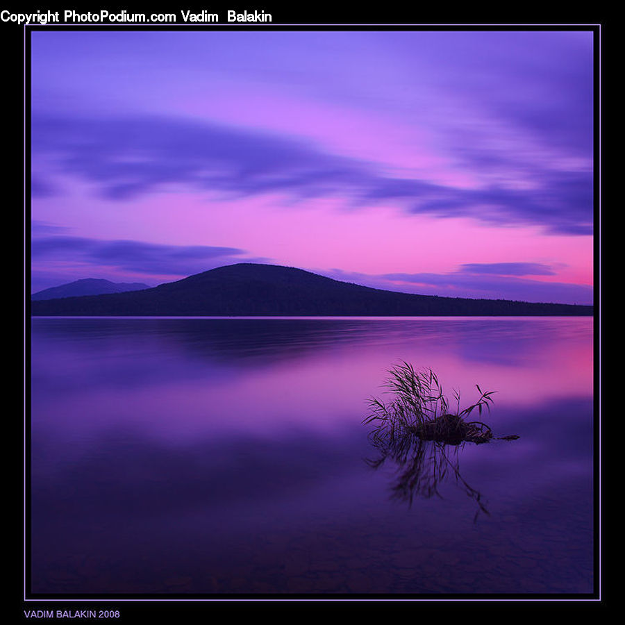 Horizon, Sky, Dawn, Dusk, Sunrise, Sunset, Blossom
