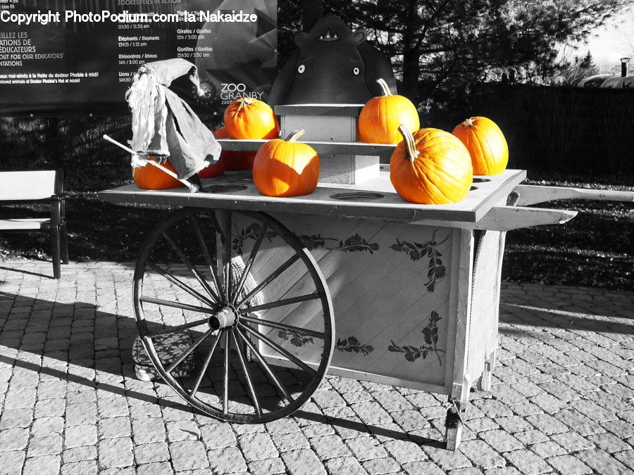 Pumpkin, Squash, Vegetable, Park Bench, Guard Rail, Railing