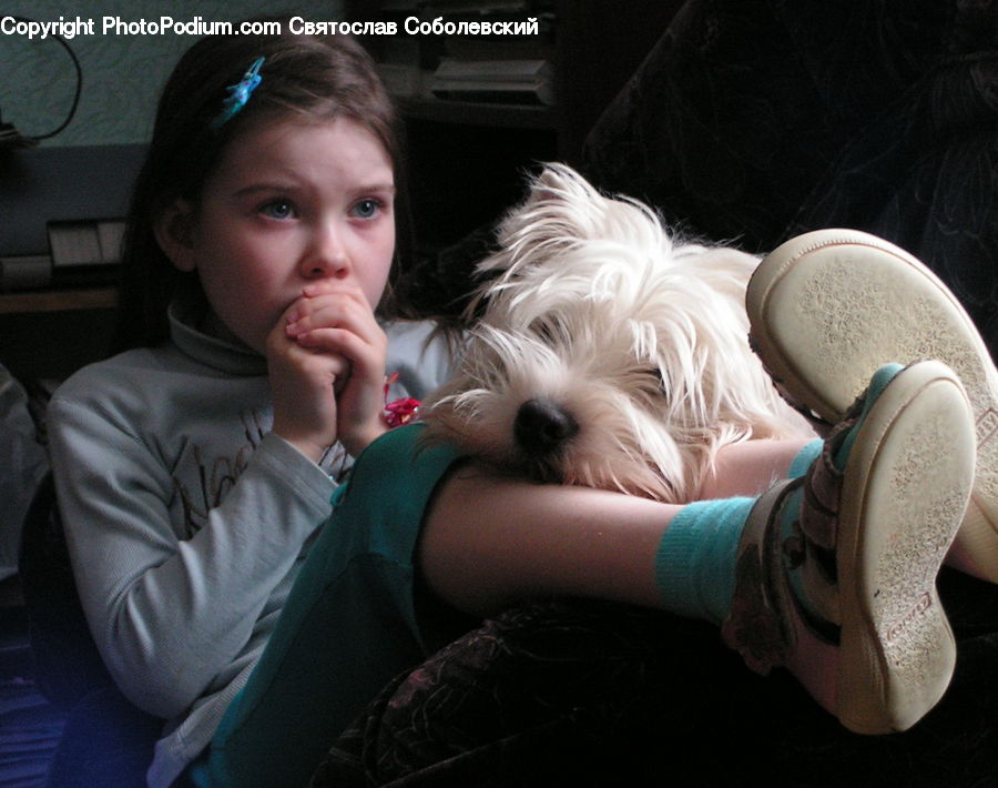 People, Person, Human, Animal, Canine, Dog, Mammal