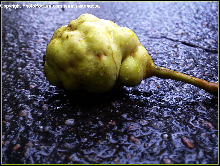 Fruit, Quince, Pear