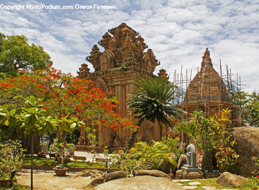 Plant, Potted Plant, Architecture, Shrine, Temple, Worship, Backyard