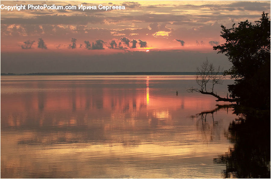 Dawn, Dusk, Sky, Sunrise, Sunset, Red Sky, Plant