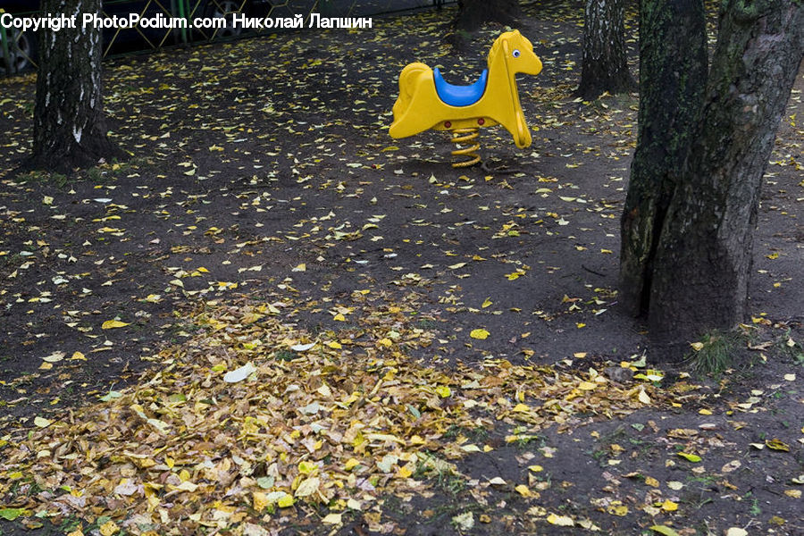 Oak, Tree, Wood, Plant, Playground, Ground, Soil