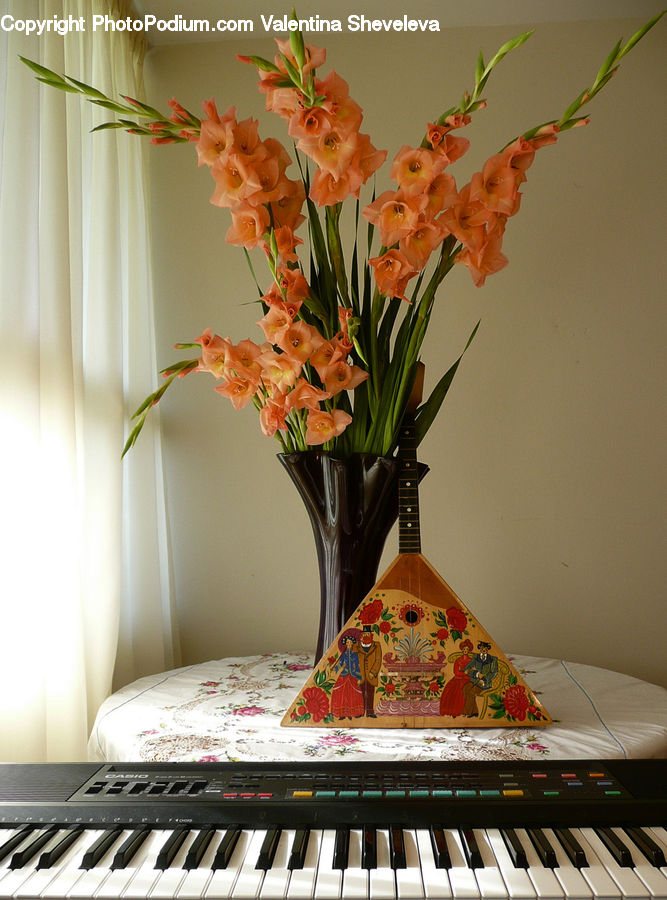 Flora, Flower, Gladiolus, Plant, Architecture, Shrine, Temple