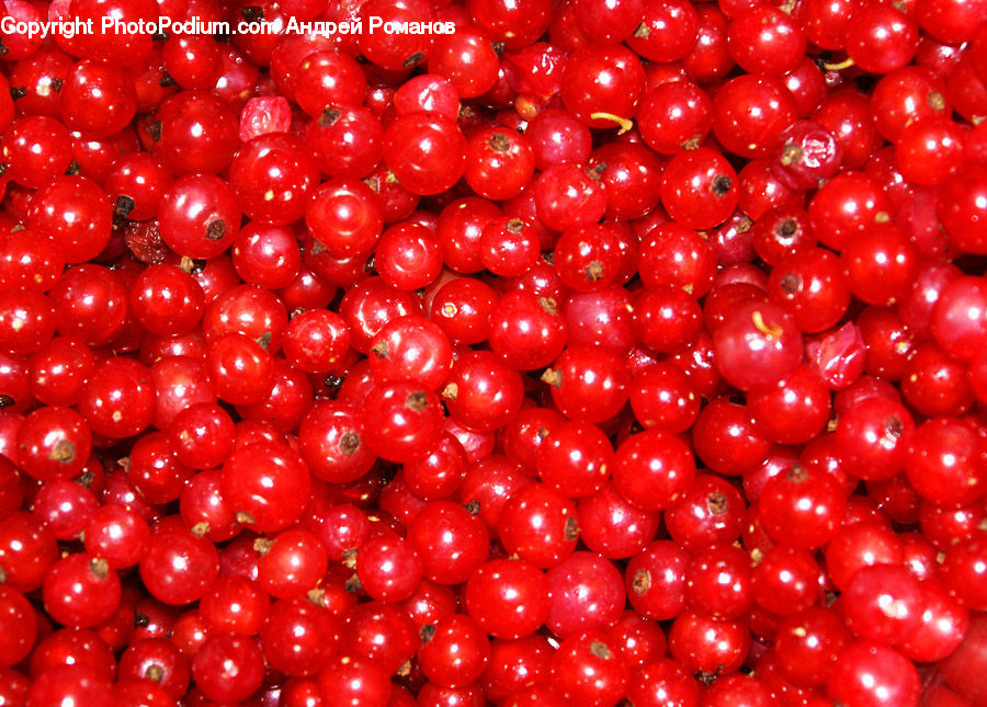 Fruit, Market, Produce, Bean, Vegetable, Cherry, Food