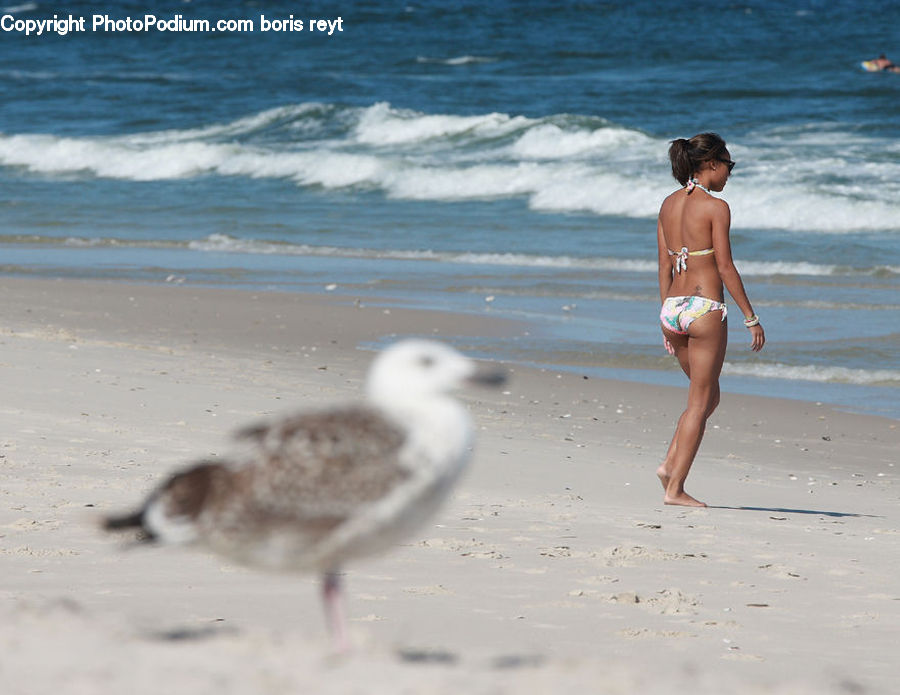 People, Person, Human, Bikini, Maillot, Swimwear, Beach