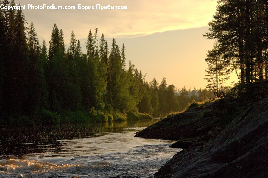 Outdoors, River, Water, Coast, Sea, Conifer, Fir