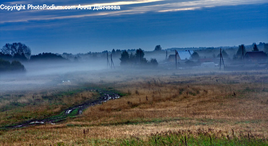 Fog, Dawn, Dusk, Sky, Sunrise, Sunset, Mist