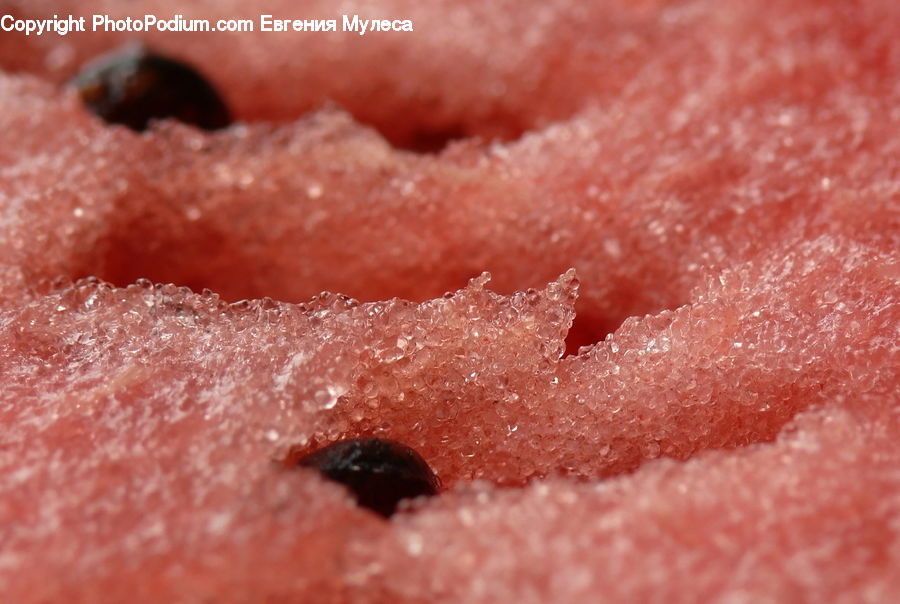 Fruit, Watermelon