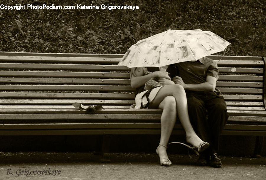 People, Person, Human, Reading, Bench, Park Bench