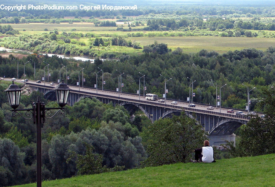 Plant, Potted Plant, Bridge, Viaduct, Bicycle, Bike, Vehicle
