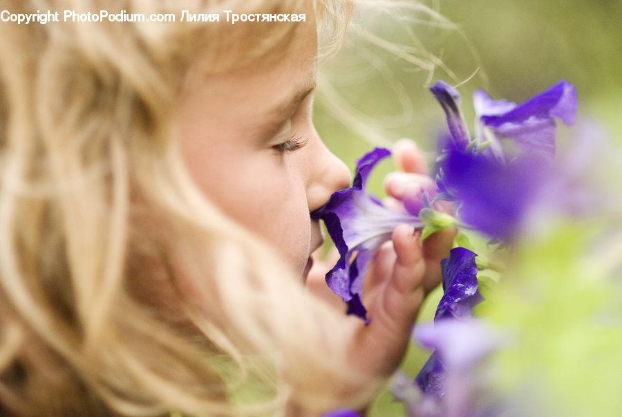 People, Person, Human, Blossom, Flora, Flower, Geranium