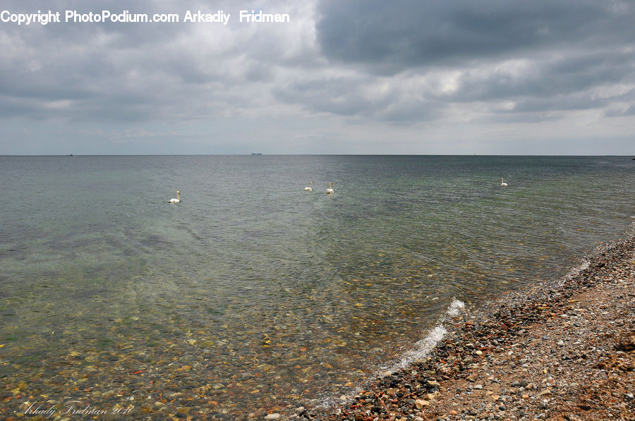 Beach, Coast, Outdoors, Sea, Water, Pebble, Landscape