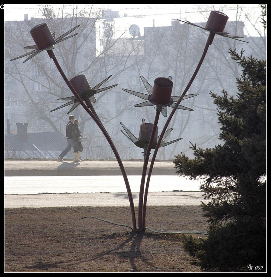 Plant, Potted Plant, Lamp Post, Pole, Conifer, Fir, Tree