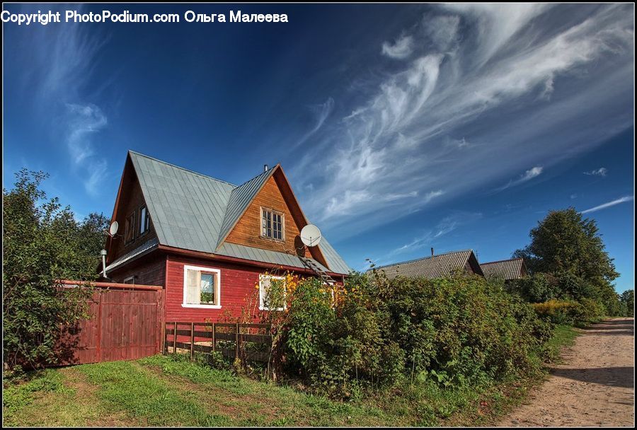 Building, Cottage, Housing, Conifer, Fir, Pine, Plant
