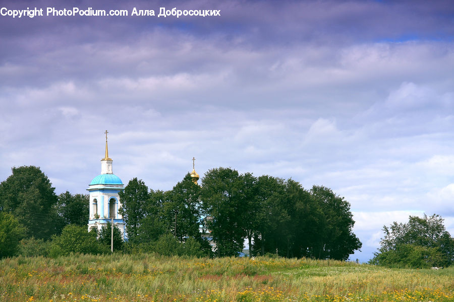 Architecture, Bell Tower, Clock Tower, Tower, Plant, Tree, Field