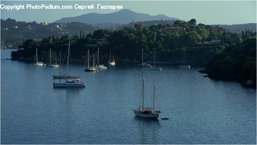 Boat, Yacht, Dinghy, Sailboat, Vessel, Watercraft, Cruise Ship