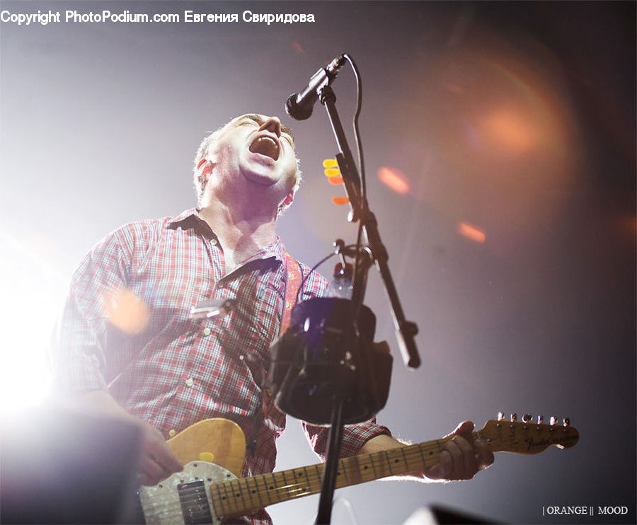 People, Person, Human, Electric Guitar, Guitar, Musical Instrument, Concert