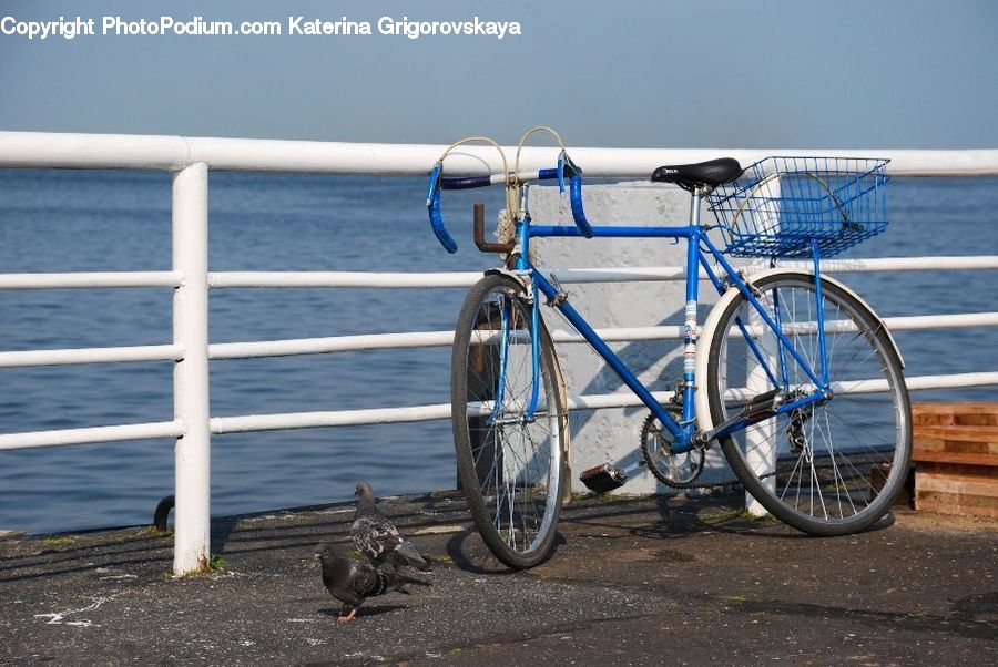 Bicycle, Bike, Vehicle, Axle, Rotor, Spoke, Tire