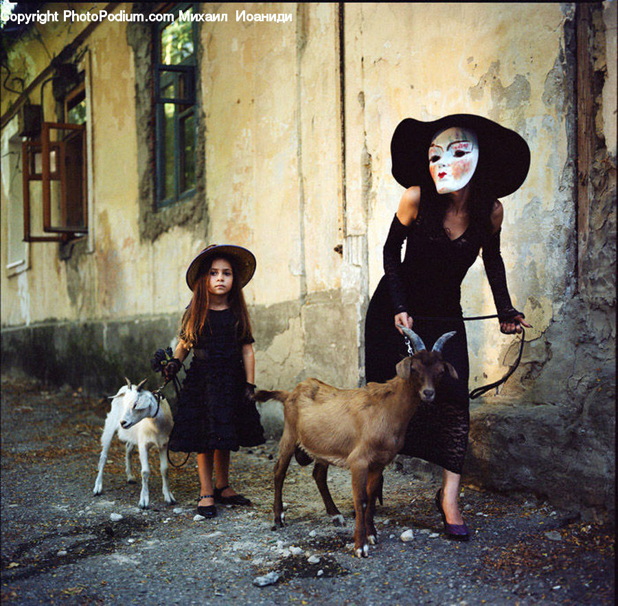 Human, People, Person, Animal, Goat, Mammal, Mountain Goat
