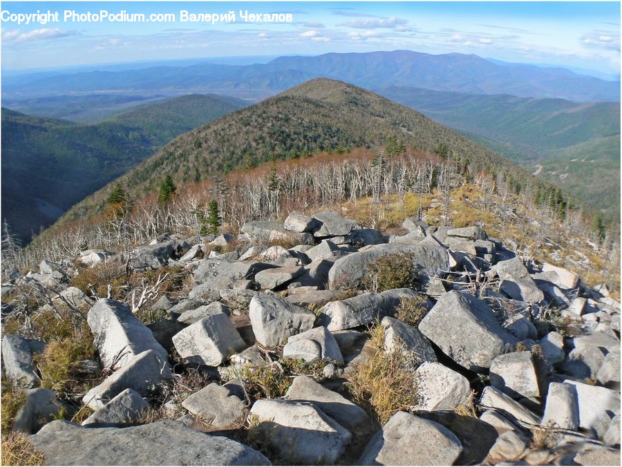 Crest, Mountain, Outdoors, Peak, Rock, Rubble, Bird