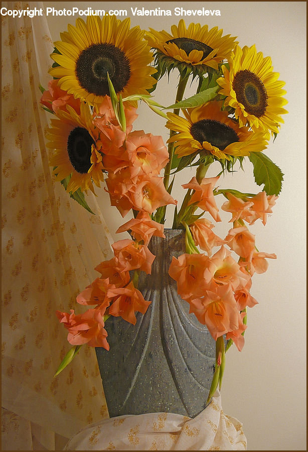 Plant, Potted Plant, Flora, Flower, Gladiolus, Flower Arrangement, Ikebana