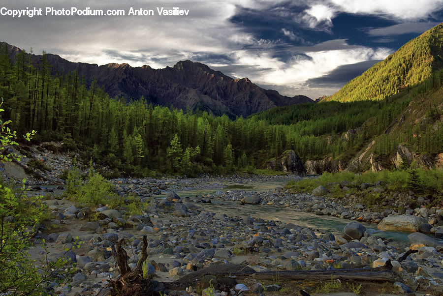 Creek, Outdoors, River, Water, Stream, Rock, Wilderness