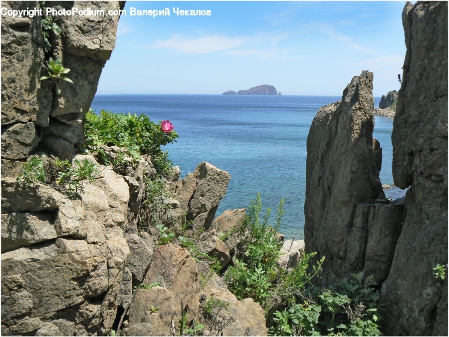 Cliff, Outdoors, Plant, Potted Plant, Rock, Coast, Sea