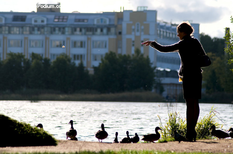 People, Person, Human, Bird, Waterfowl, Blackbird, Crow