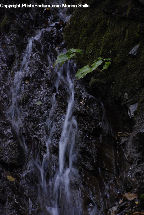 Creek, Outdoors, River, Water, Moss, Plant, Waterfall